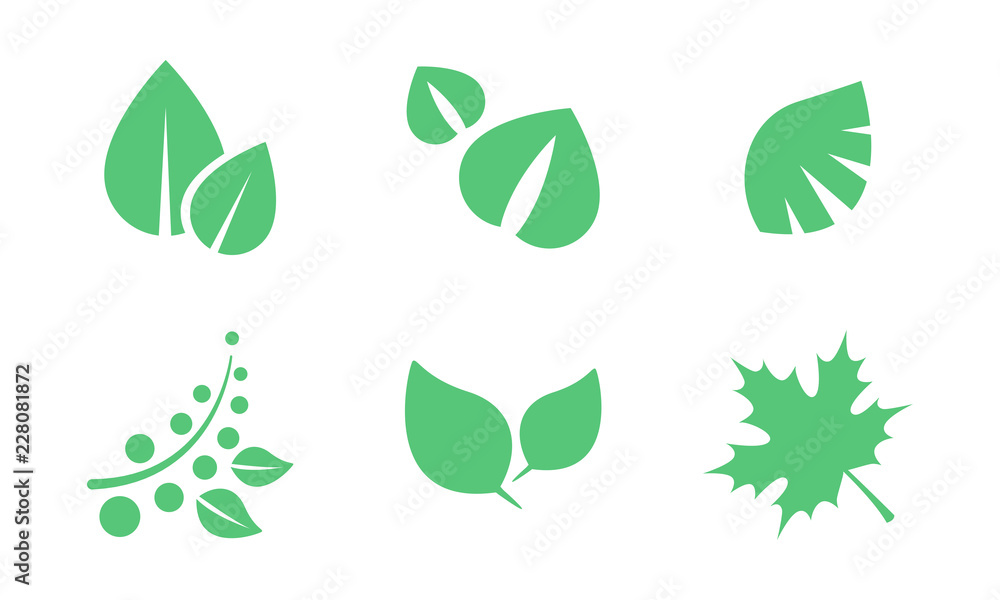 Green leaves set, parts of plants end trees of various shapes vector Illustration on a white background Green leaves set, parts of plants end trees of various shapes vector Illustration on a white background