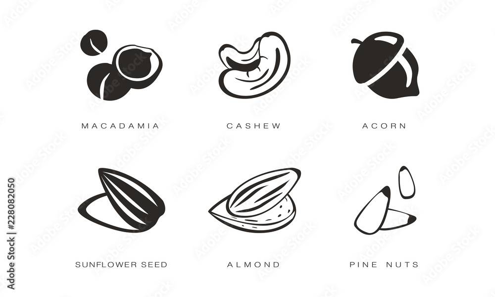 Nuts and seeds icons set, macadamia, cashew, acorn, sunflower seed, almond, pine nut monochrome vector Illustration on a white background