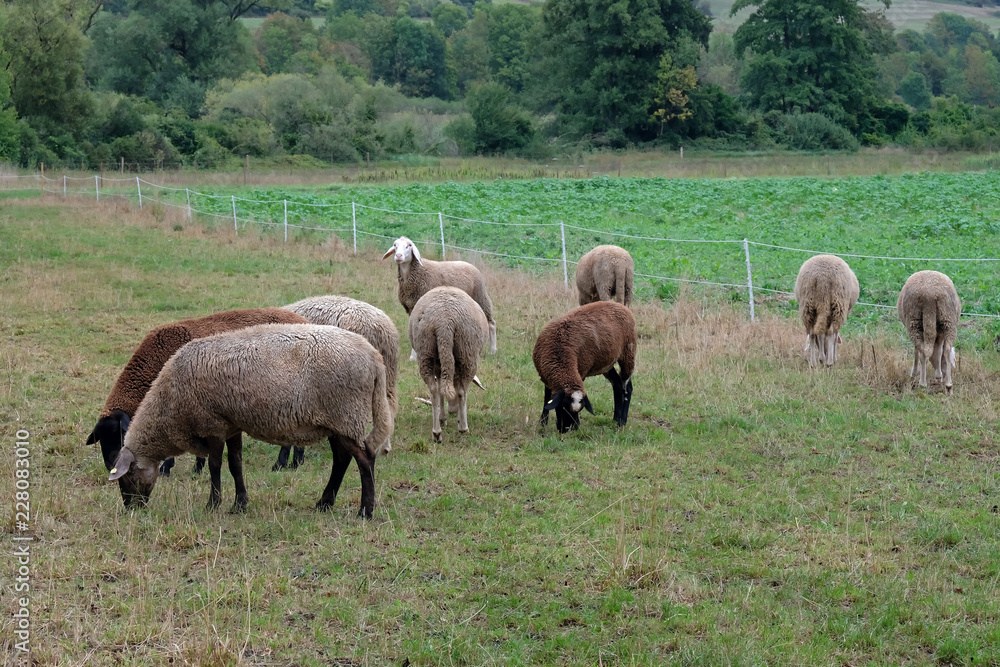 Tierhaltung in Bayern