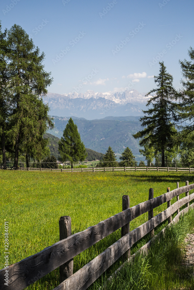 alpine landscape with wooden fence and trees