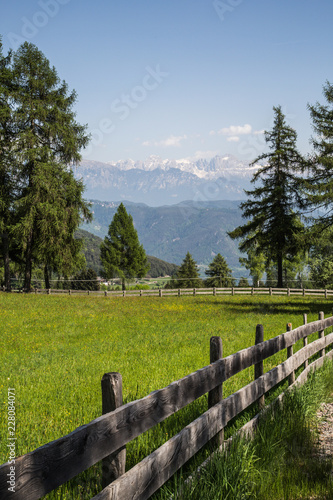 Obraz na płótnie alpine landscape with wooden fence and trees w salonie