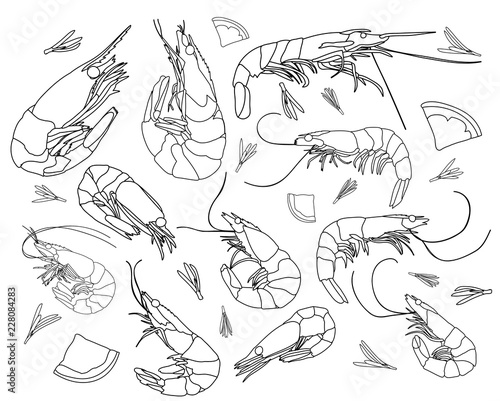 set of a shrimp sketch