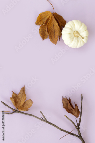 Flat lay autumn fancy halloween pumpkin and dried leaves on pastel purple background