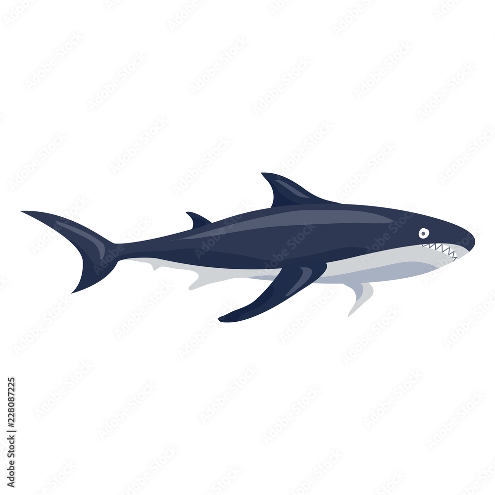 Shark icon. Cartoon of shark vector icon for web design isolated on white background