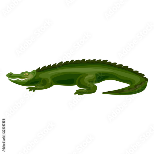 Crocodile icon. Cartoon of crocodile vector icon for web design isolated on white background