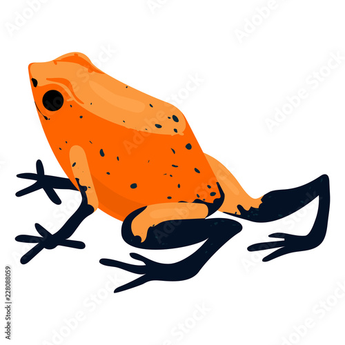 Red frog icon. Cartoon of red frog vector icon for web design isolated on white background photo