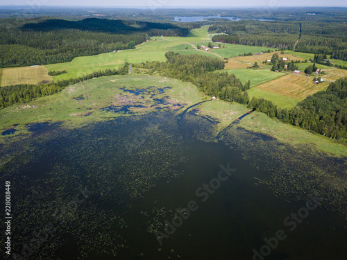 Eutrophicated bay in country landscape