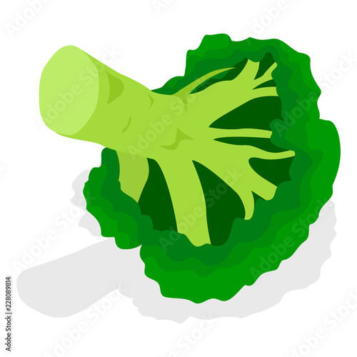 Eco broccoli icon set. Isometric set of eco broccoli vector icons for web design isolated on white background