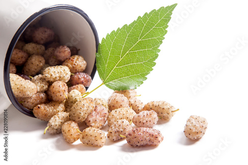 White cup with white mulberry fruit and leaf isolated on white.