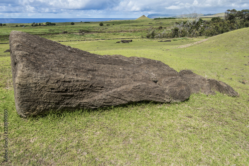 Moai a terra sul versante del vulcano Rano Raraku