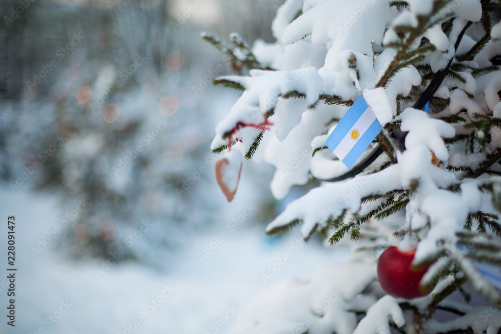 Argentina flag. Christmas background outdoor. Christmas tree covered with snow and decorations and Argentinian flag.  New Year / Christmas holiday greeting card.