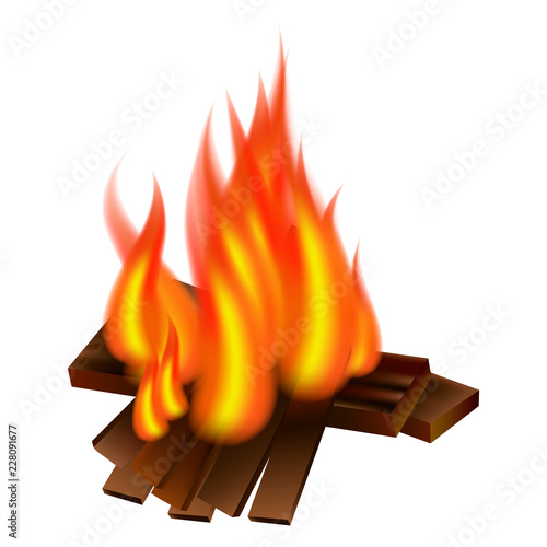 Picnic fire icon. Realistic illustration of picnic fire vector icon for web design