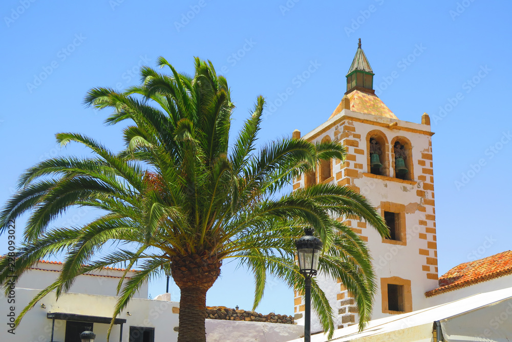 Palm and the bell tower with blue sky in Fuerteventura, Spain. Tourism. catholic church Santa Maria de Betancuria in the Betancuria - small village and the old capital of Fuerteventura. 
