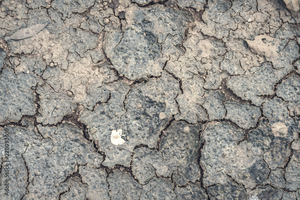 crack dry soil and rock on the ground at the summer season crack dry soil and rock on the ground at the summer season