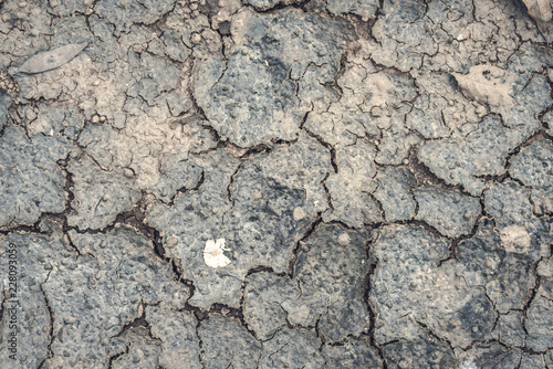 crack dry soil and rock on the ground at the summer season