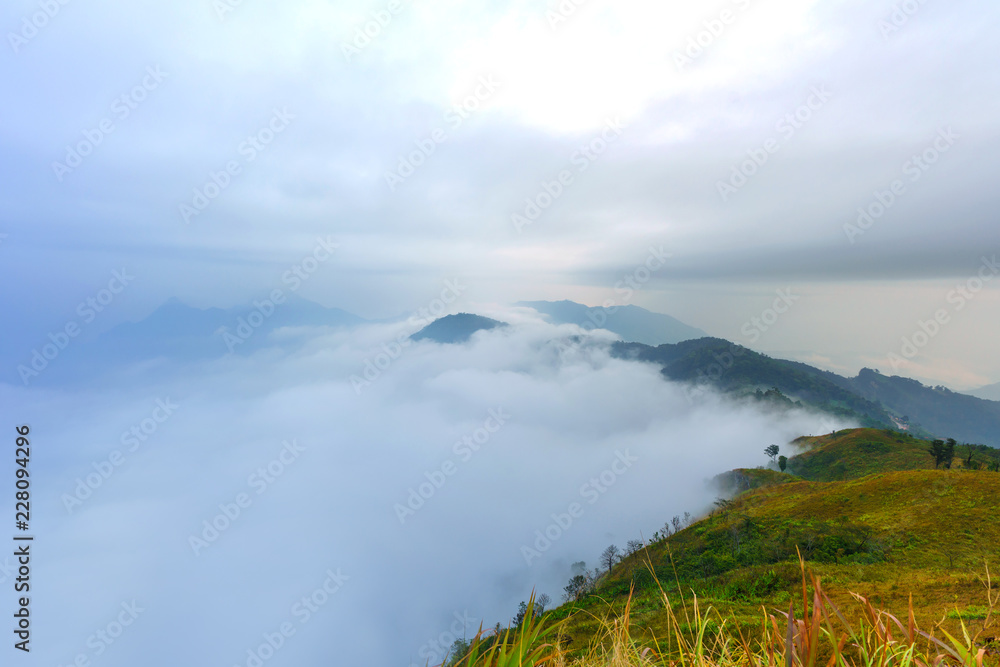 Landscape of Phucheefah mountain forest park in chiang rai province Thailand