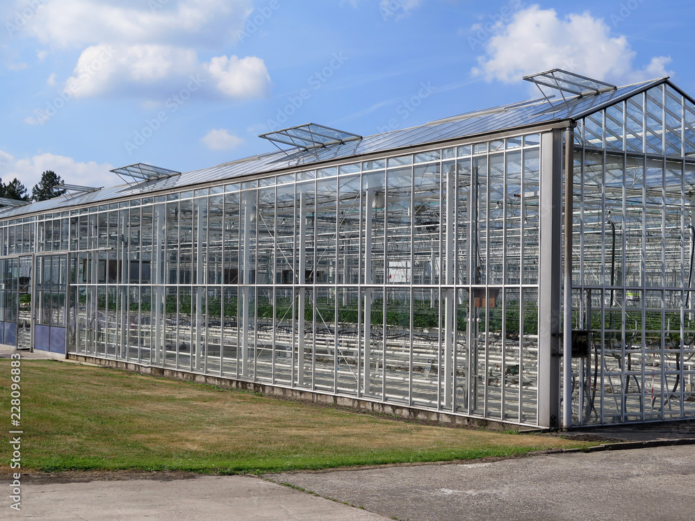 Glass facade of greenhouse in garden against blue sky. Large greenhouse on a sunny day in the spring season. Glass facade of greenhouse in garden against blue sky. Large greenhouse on a sunny day in the spring season.