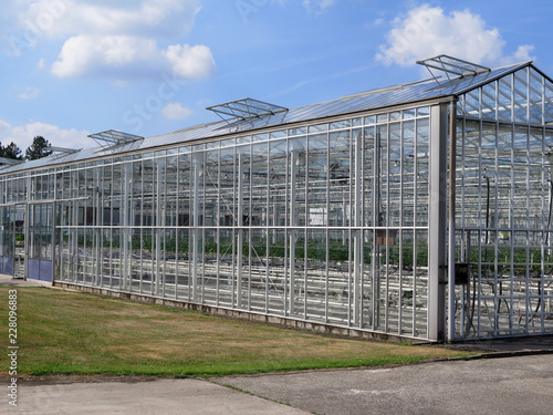 Glass facade of greenhouse in garden against blue sky. Large greenhouse on a sunny day in the spring season. 