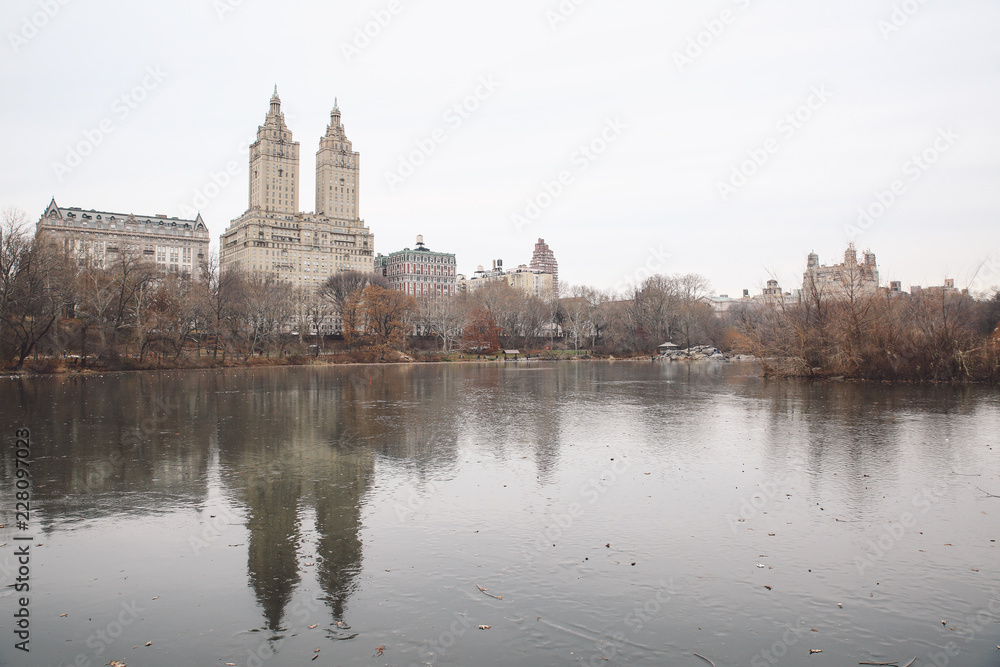 New York New York