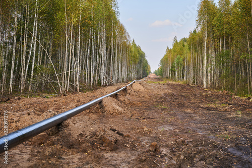 Laying of a gas pipe in the deep forest