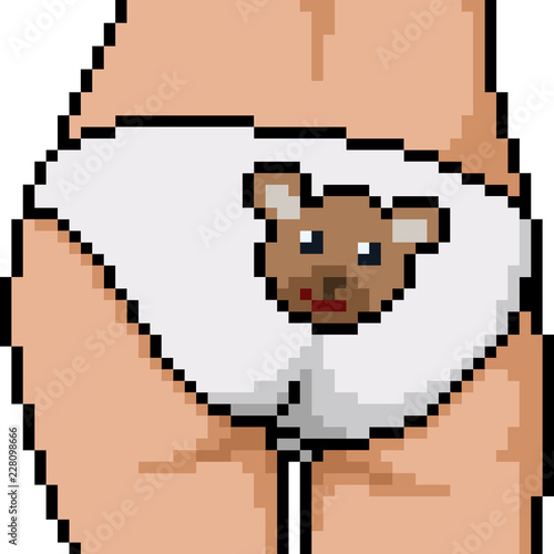 vector pixel art panty butt