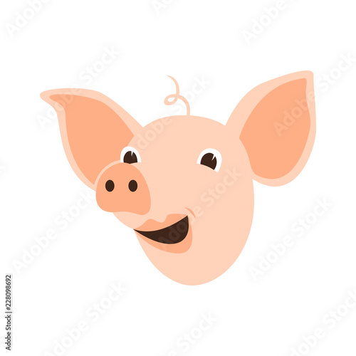  cartoon pig head vector illustration flat style front