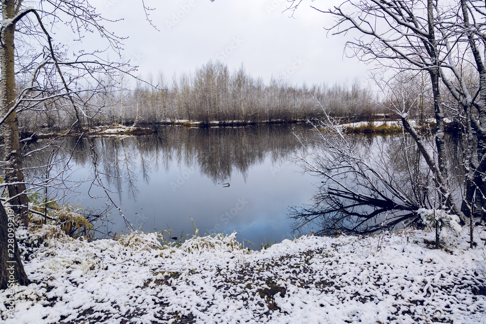 The first snow covered branches of birches on the lake The first snow covered branches of birches on the lake