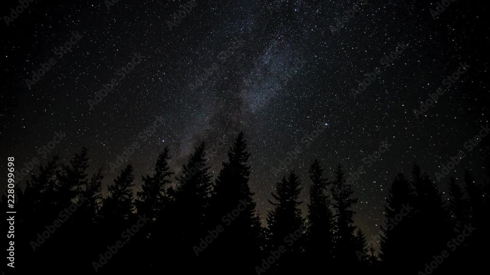 The Milky Way is moving in the night sky over the silhouettes of trees. Timelapse. 4K The Milky Way is moving in the night sky over the silhouettes of trees. Timelapse. 4K