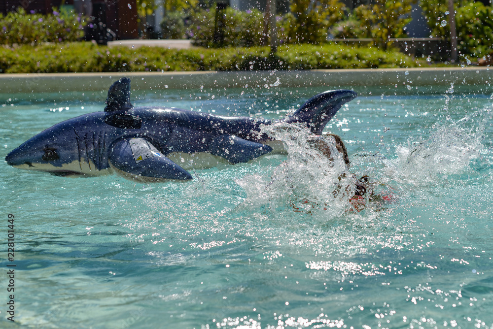 Fototapeta premium girl swimming and falling down in the pool from an inflatable shark