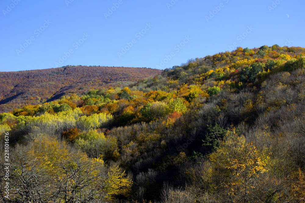 Autumn landscape. Mountains in the fall with yellow-red trees. Mountain forest in the fall. 