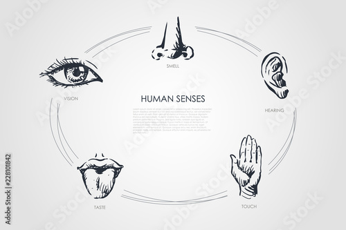 Human senses - vision, taste, touch, hearing, smell vector concept set