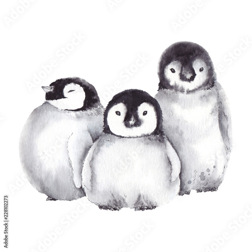 Foto Cute baby penguin family