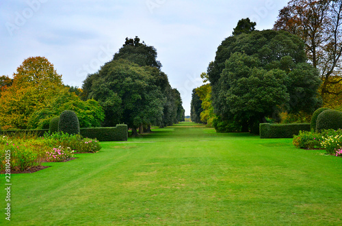 British public garden and park. Kew gardens in London. Green field.