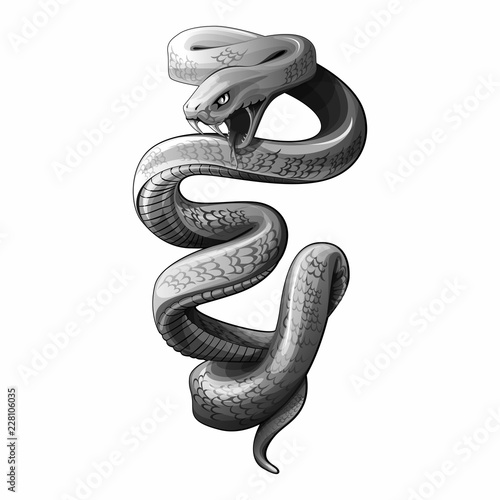 snake vector draw