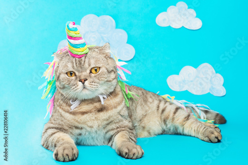 Cute cat unicorn with clouds on a blue background with clouds. The concept of fairy tales, fashion, funny and sweet cats, love and holiday © Anton