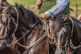 Hunting party, horse riding in posh, elegant countryside mansion. Ranch lifestyle, noble sporting, outdoor activity with horses. Equestrian business people.