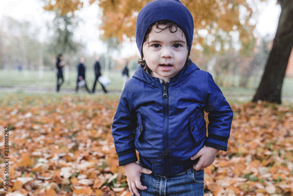 child in autumn park child in autumn park