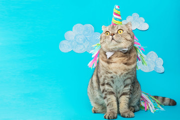Large Scottish or British gray cat in the role of a unicorn, with a pink horn on a pink background, the concept of a fairy tale, colorful photography. On a blue background with clouds or sky