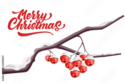 Vector merry christmas lettering rowan red berry