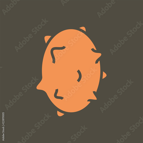 Silhouette icon kiwano