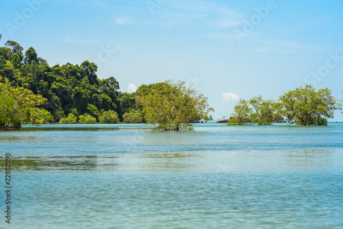 Mangrove swamp while high tide at the buffalo bay on the island Ko Phayam in Thailand