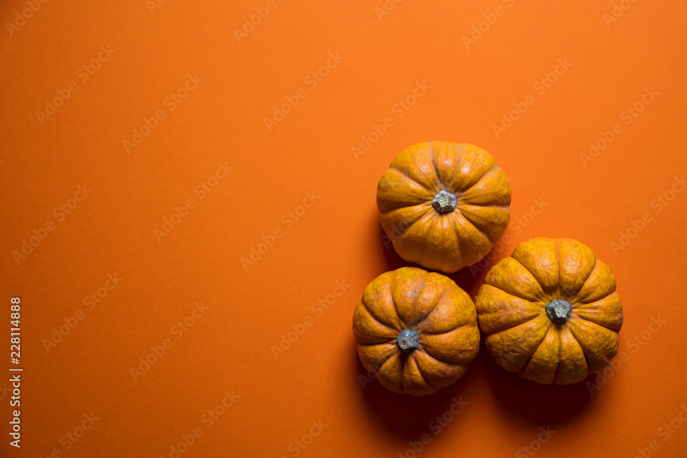 Small pumpkins on a bright orange backdrop. Halloween and thanksgiving background Small pumpkins on a bright orange backdrop. Halloween and thanksgiving background