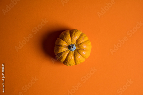 Small pumpkins on a bright orange backdrop. Halloween and thanksgiving background