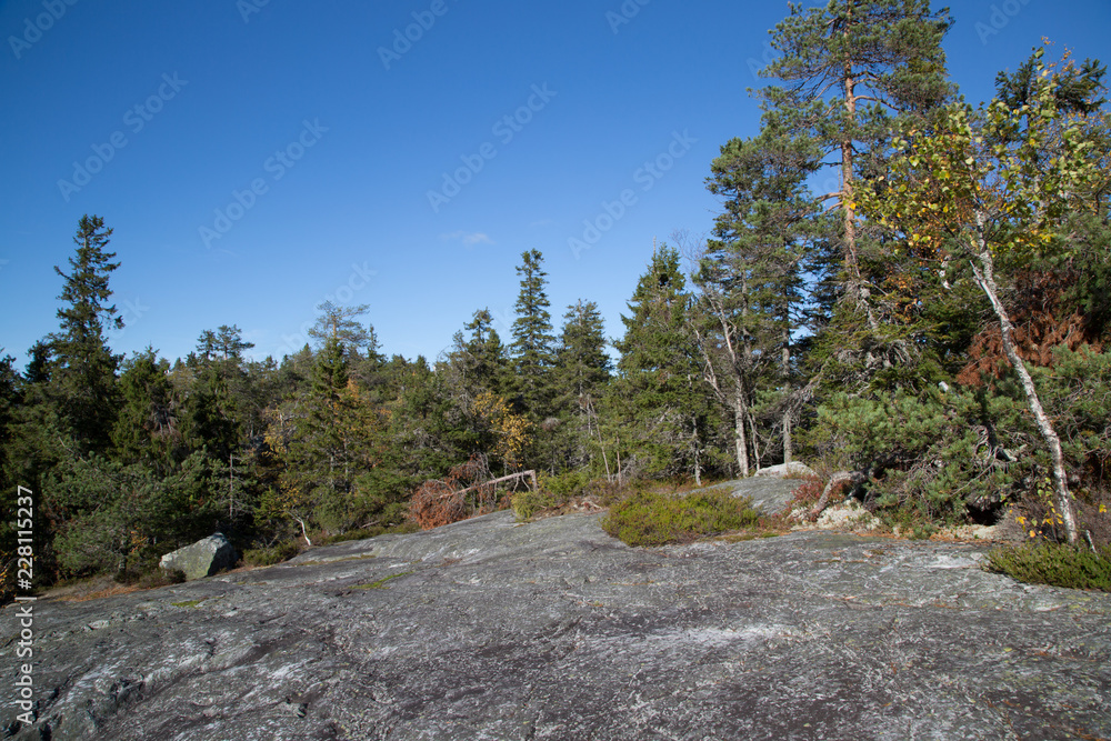 Autumn landscape on the Koli, hiking trail