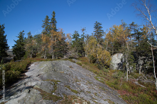 Autumn landscape on the Koli  hiking trail