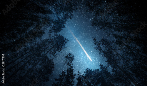 Beautiful night sky, the Milky Way, meteor and the trees. Elements of this image furnished by NASA.