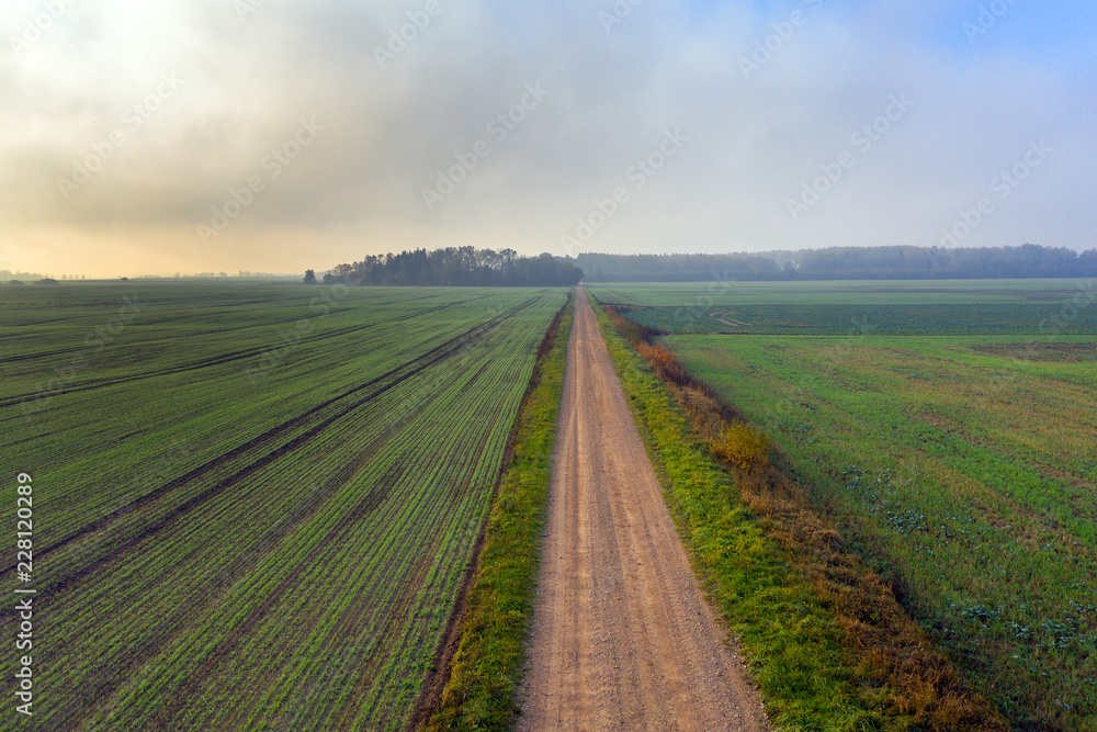 Autumn morning fog on green fields.