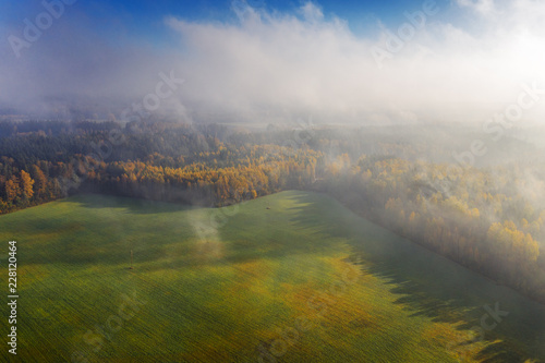 Autumn morning fog on green fields.