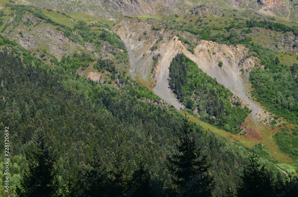 Fototapeta premium mountains with forest