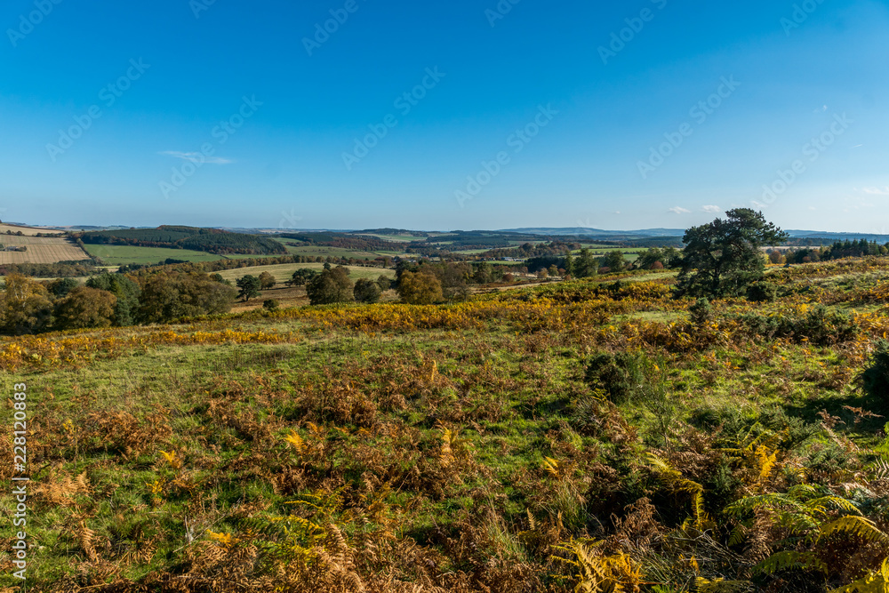 Bracken Field, Aberdeenshire
